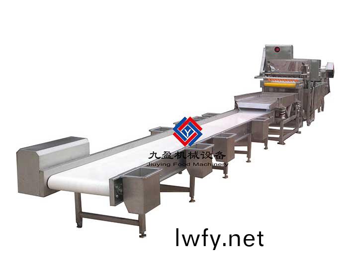 挑選(xuan)生産(chan)線(xian)